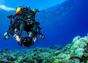 Luiz Rocha
2021 Rolex Awards Laureate
Luiz Rocha works to explore and protect mesophotic coral reefs and their biodiversity
in the Indian Ocean, and to strengthen conservation of these largely unknown
ecosystems.